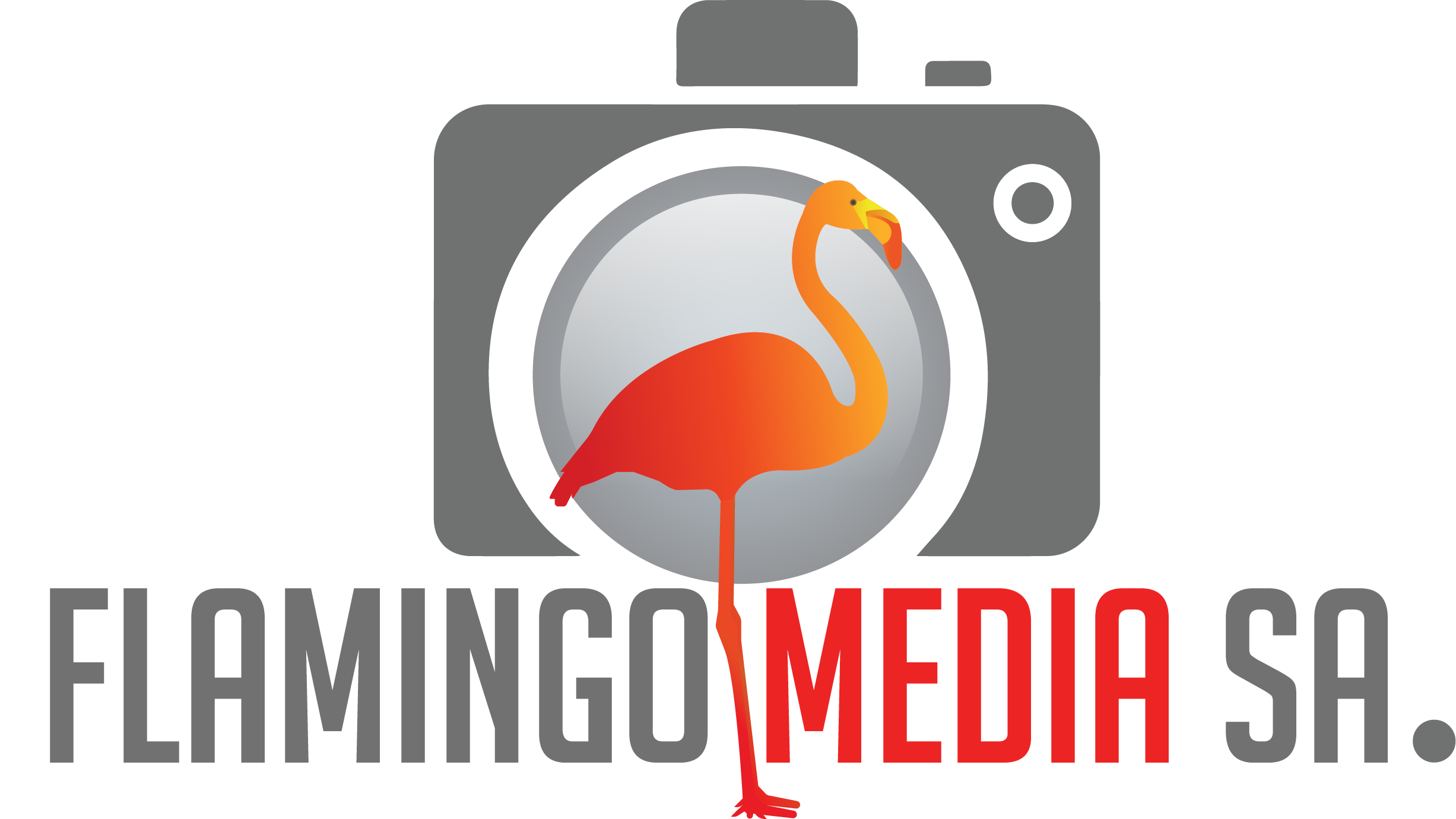Flamingo Media SA